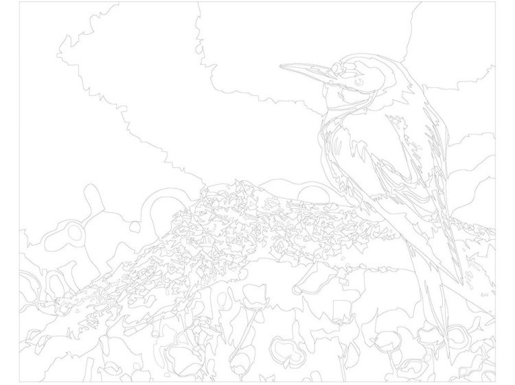 Картина по номерам «Оранжевая птица» — картинка 3