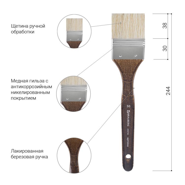 Кисть художественная профессиональная Art Classic, щетина, флейц, № 50, короткая ручка, Brauberg — картинка 4
