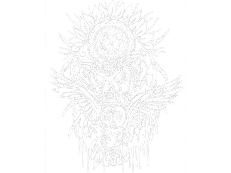 Картина по номерам «Сова-защитница» — картинка 3