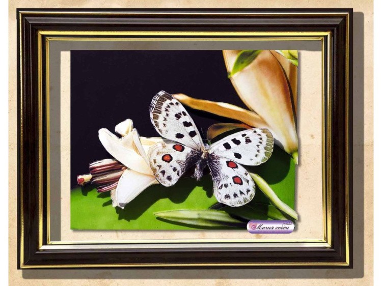 Папертоль «Бабочка на цветке» — картинка 4