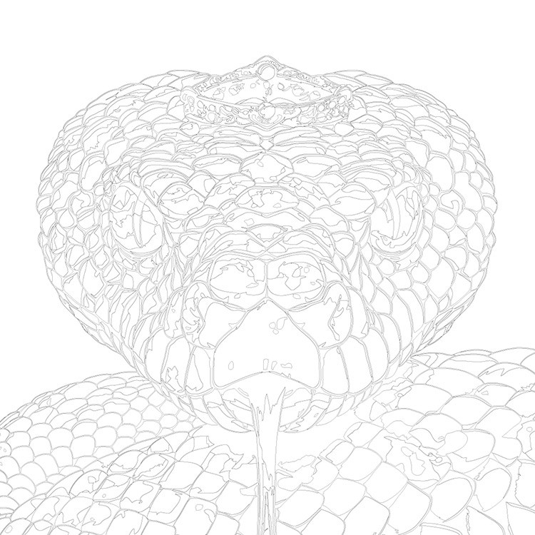 Картина по номерам «Синяя змея с короной, Новый год, животные» — картинка 3