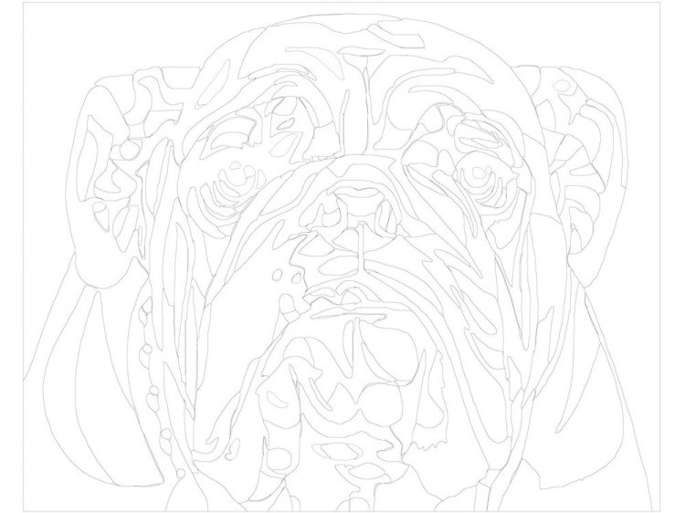 Картина по номерам «Английский бульдог» — картинка 3