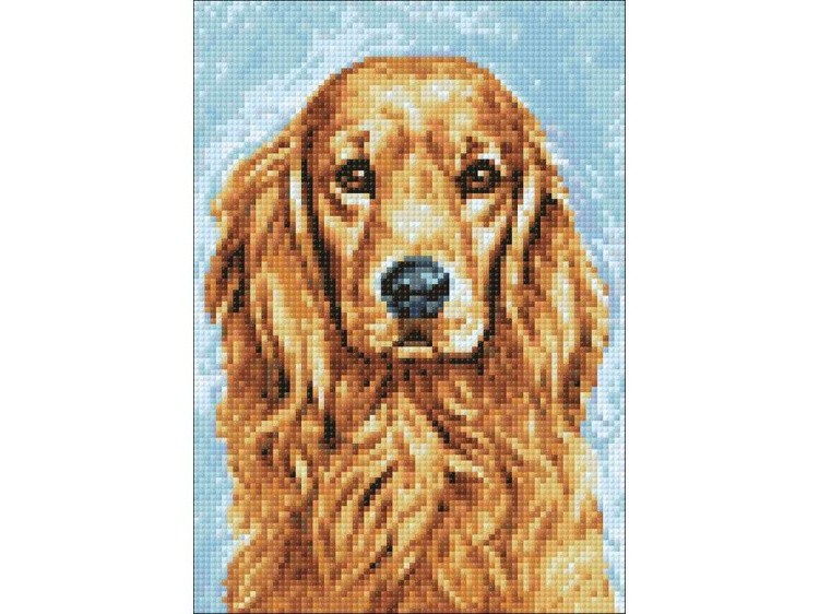 Алмазная вышивка «Преданный пёс» — картинка 3