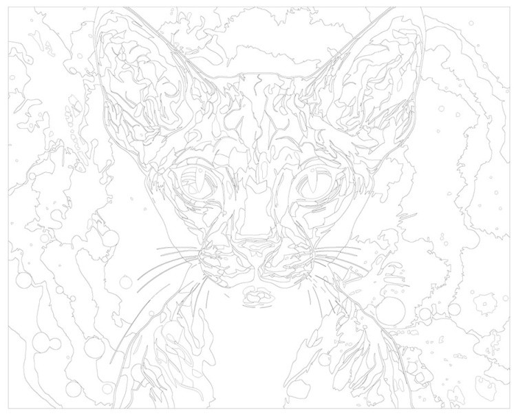 Картина по номерам «Разноцветный кот сфинкс» — картинка 3