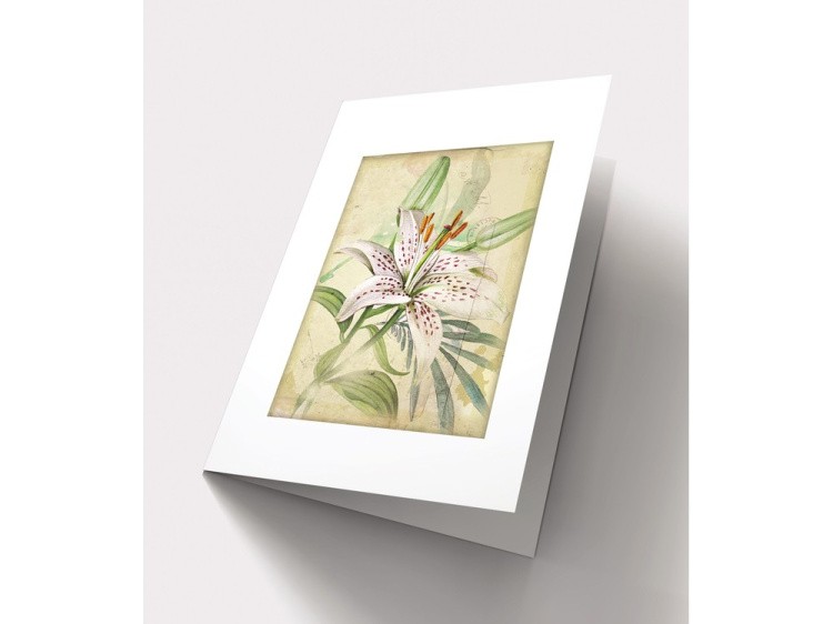 Набор для вышивания «Открытка. Тигровая фантазия» — картинка 2