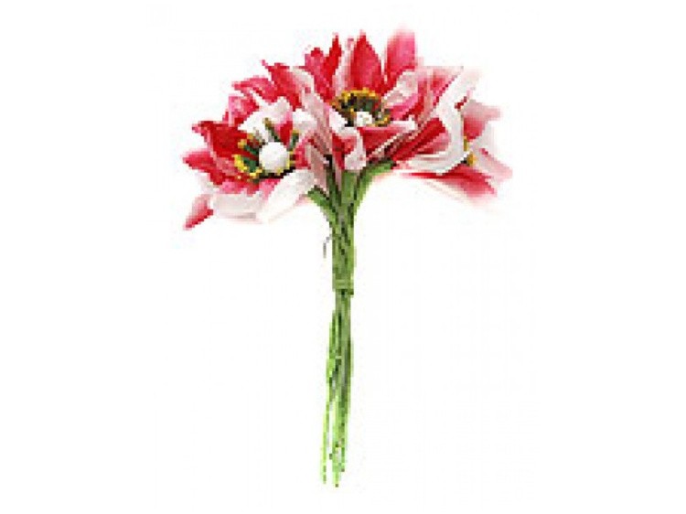 Набор цветов «Лилия красно-белая»