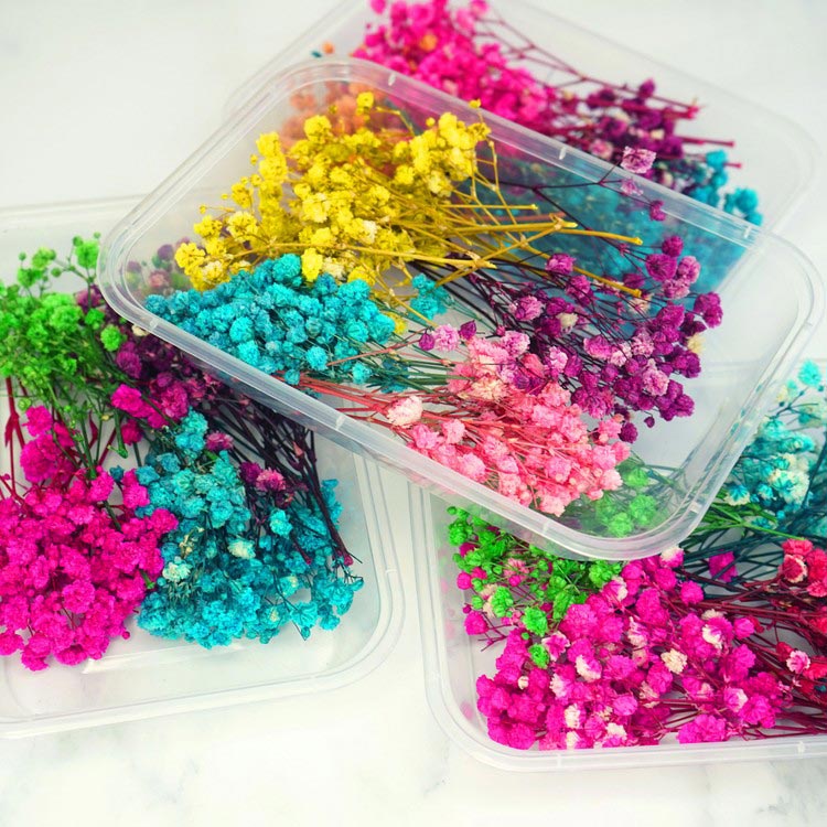 Сухоцветы Гипсофилы, 1 упаковка — картинка 2