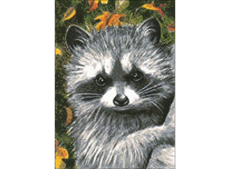 Алмазная вышивка «Осенний енот» — картинка 2