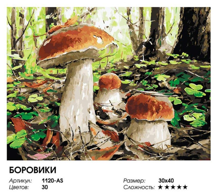 Картина по номерам «Боровики» — картинка 2