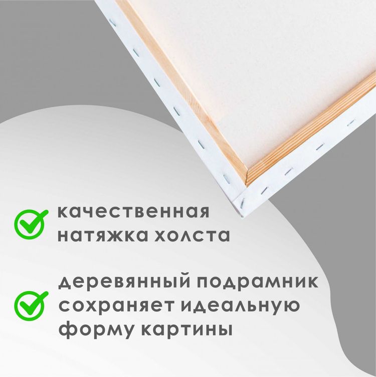 Алмазная вышивка «Лунный кот» — картинка 5