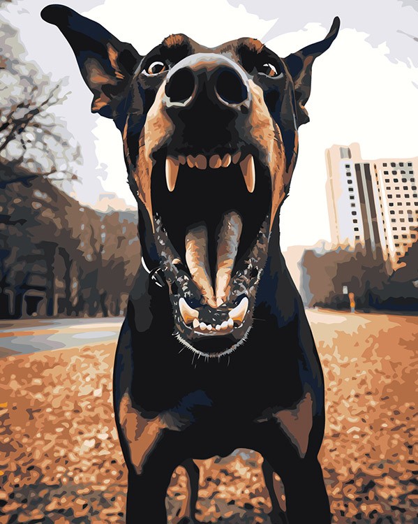 Картина по номерам «Собака доберман с открытой пастью»