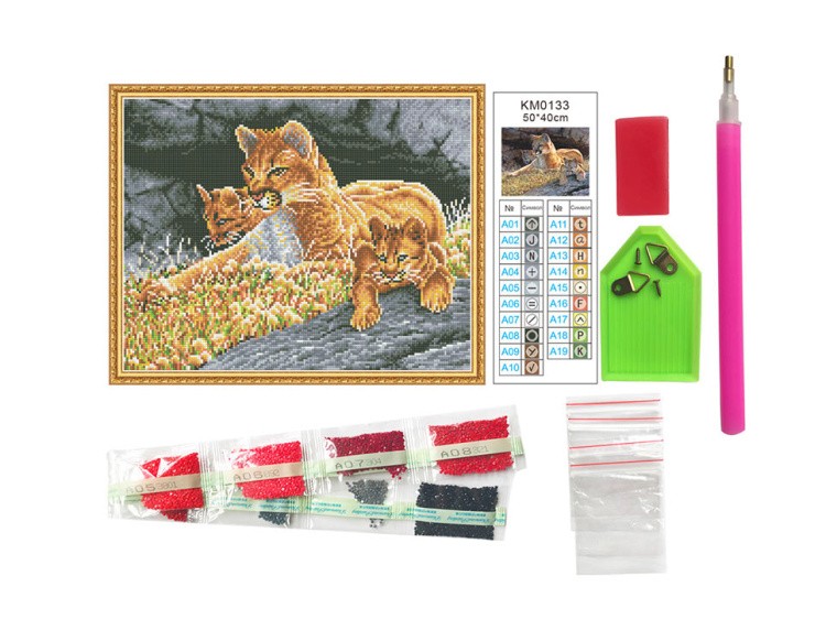 Алмазная вышивка «Урок наблюдательности» — картинка 2