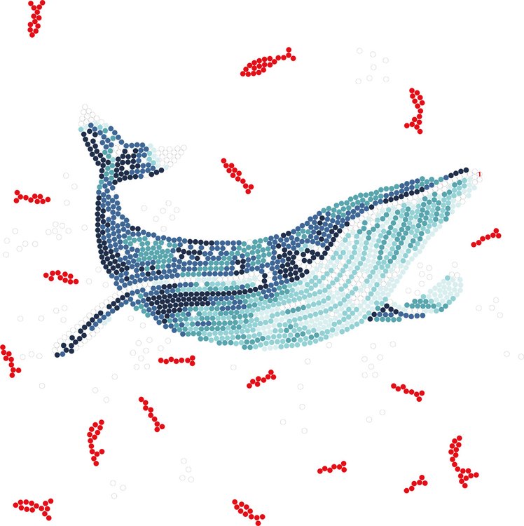 Алмазная вышивка «Постер. Кит и рыбки» — картинка 2