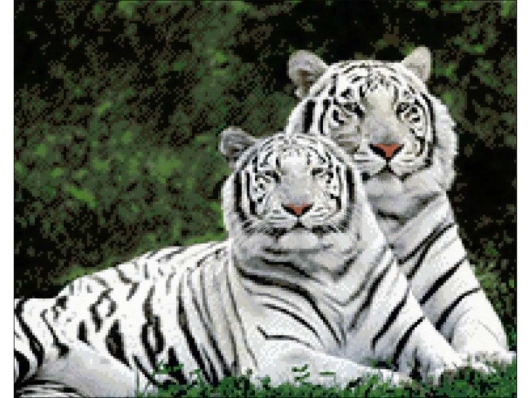 Алмазная вышивка «Влюбленные тигры» — картинка 2