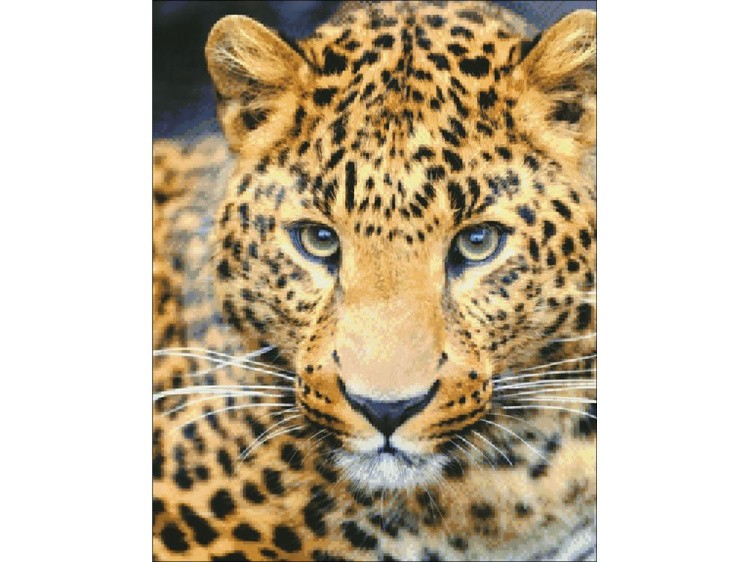 Алмазная вышивка «Леопард» — картинка 2