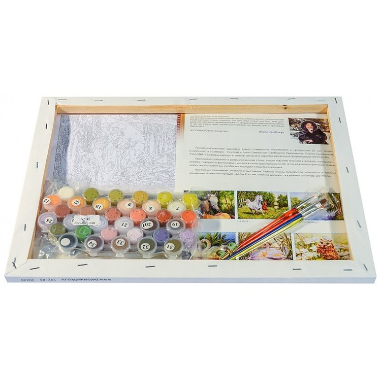 Картина по номерам «Сова Везучка» Елены Самарской — картинка 3