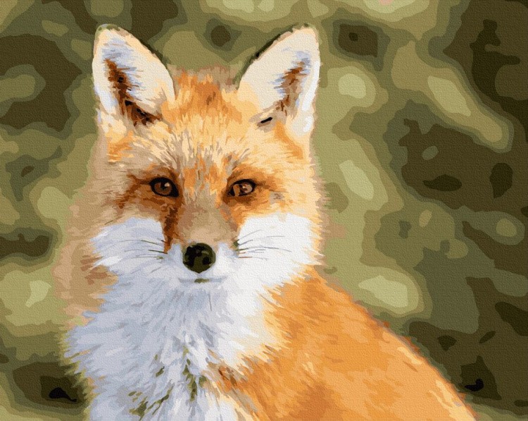 Картина по номерам «Взгляд лисы»
