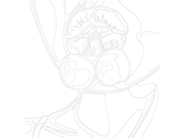 Картина по номерам «Вишенка» — картинка 3