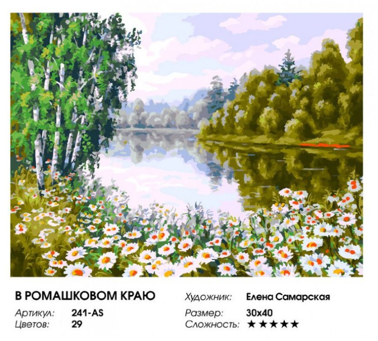 Картина по номерам «В ромашковом краю» — картинка 2