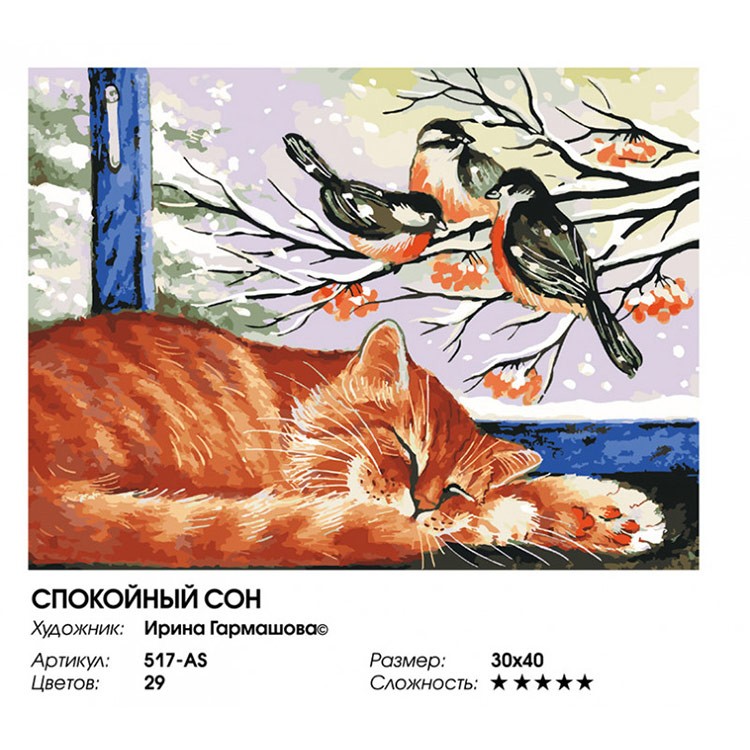 Картина по номерам «Спокойный сон» — картинка 2
