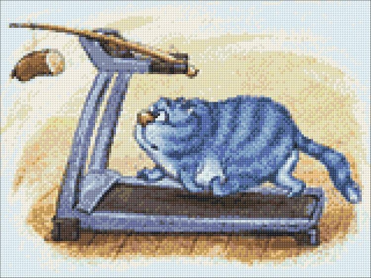 Алмазная вышивка «Фитнес» — картинка 2