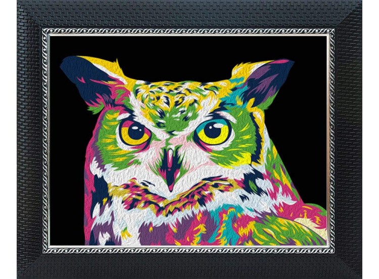 Картина по номерам «Радужная сова» — картинка 2