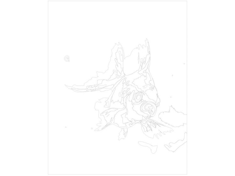 Картина по номерам «Декоративная рыбка» — картинка 3