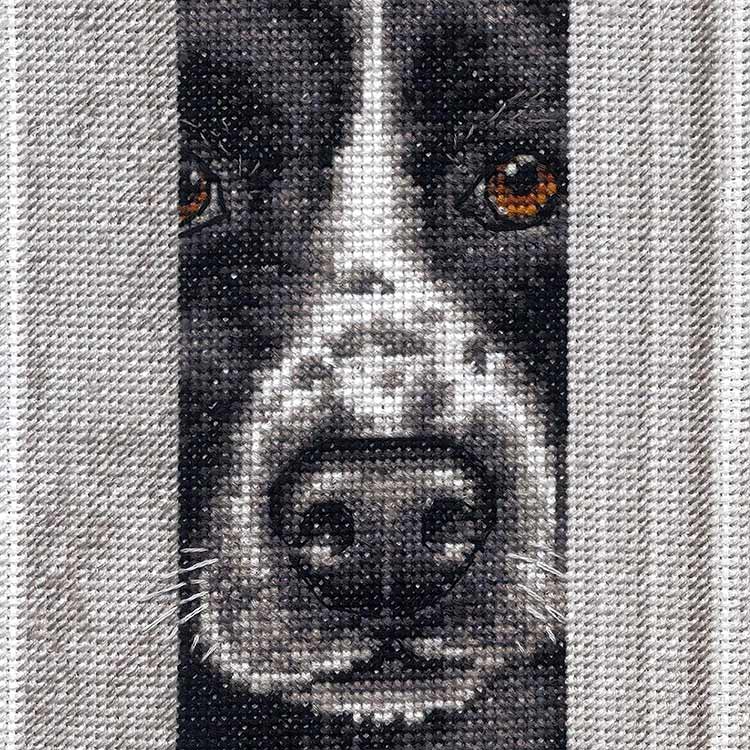 Набор для вышивания «Любопытные щенки» — картинка 3