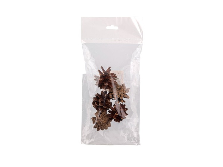 Шишки PIF-01, 01 Сосна, 5 шт., Blumentag — картинка 2