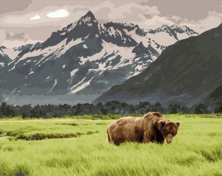 Картина по номерам «Медведь в поле»