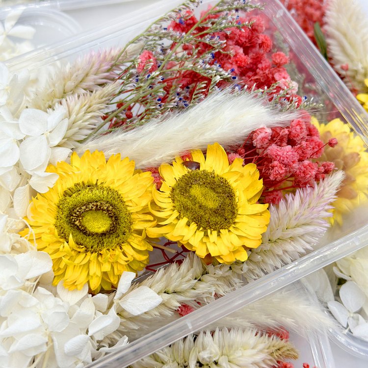 Набор сухоцветов №2, 1 упаковка — картинка 2