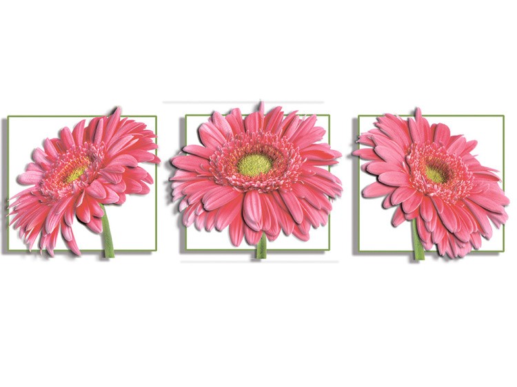 Папертоль «Гербера», часть 1 — картинка 3