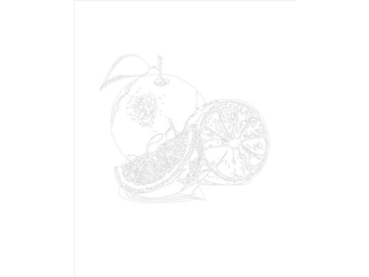 Картина по номерам «Сочный апельсин» — картинка 3