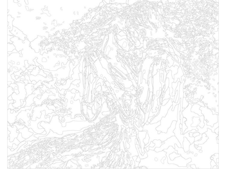 Картина по номерам «Танец в облаках» — картинка 3