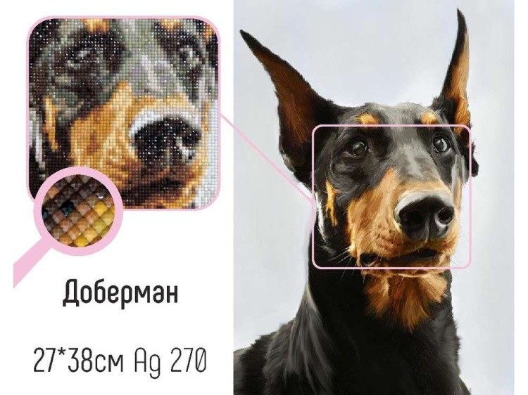 Алмазная вышивка «Доберман» — картинка 2