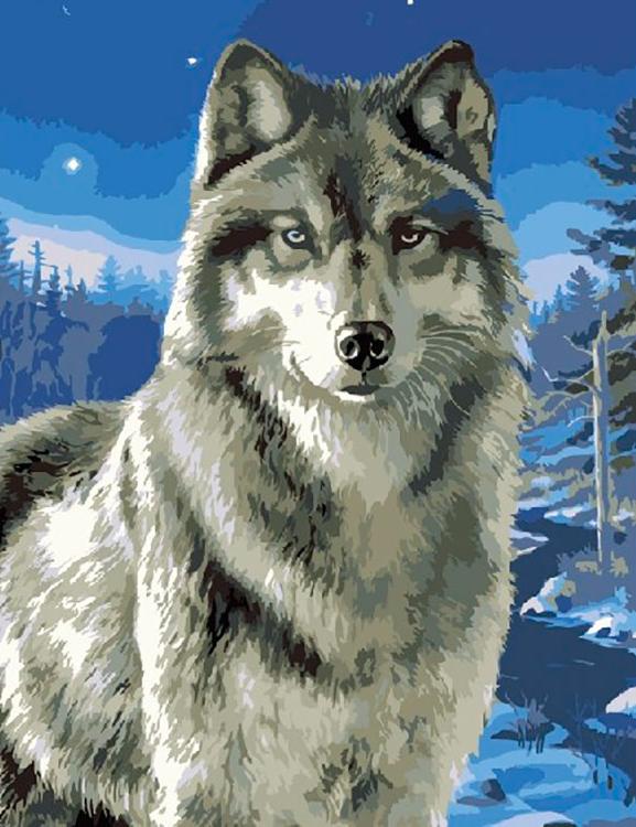 Картина по номерам «Волк в заполярье»