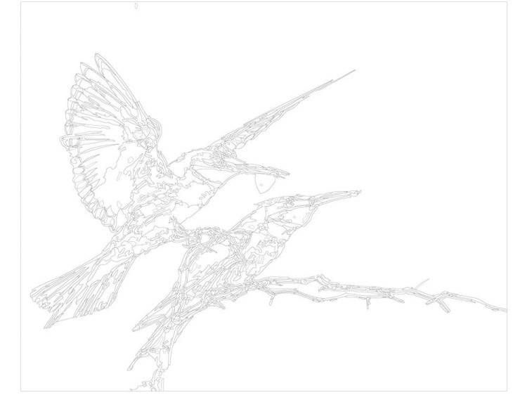 Картина по номерам «Птицы» — картинка 3