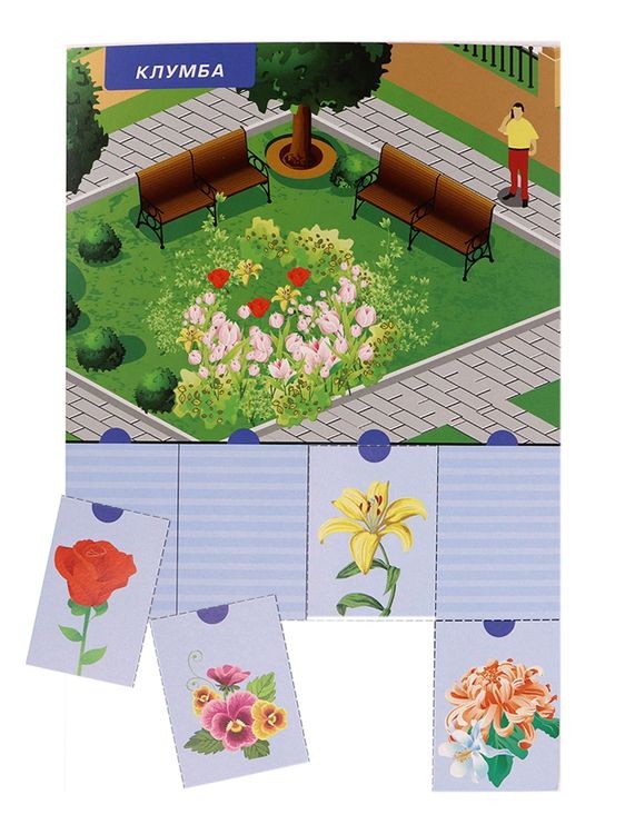 Первые уроки «Что где растет?» — картинка 4