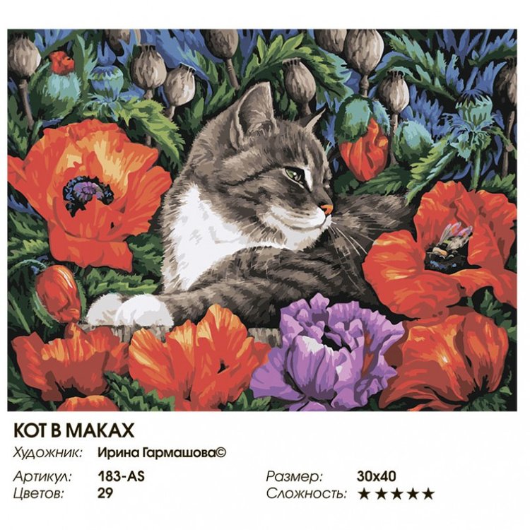 Картина по номерам «Кот в маках» — картинка 2