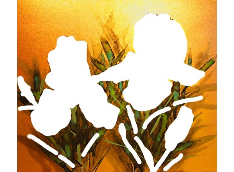 Алмазная вышивка «Ирисы» — картинка 2