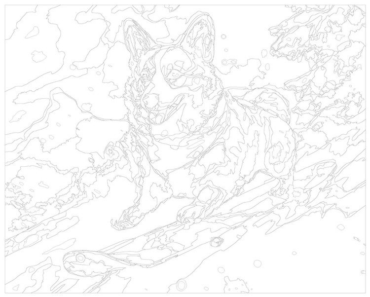 Картина по номерам «Собака корги катается на сноуборде» — картинка 3