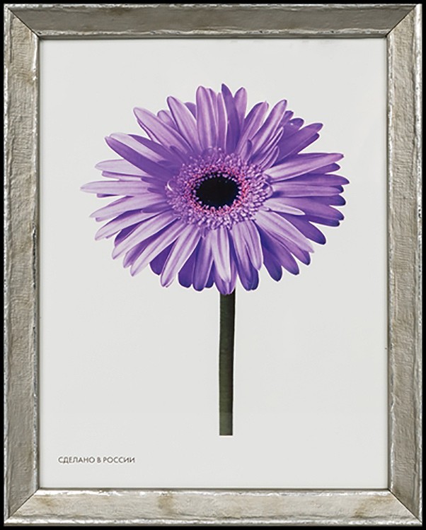 Рамка для картин «Viola» светло-серая, 15x20 см — картинка 4