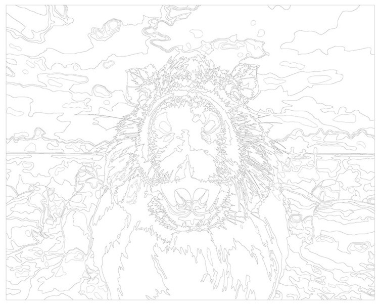 Картина по номерам «Удивленная капибара» — картинка 3