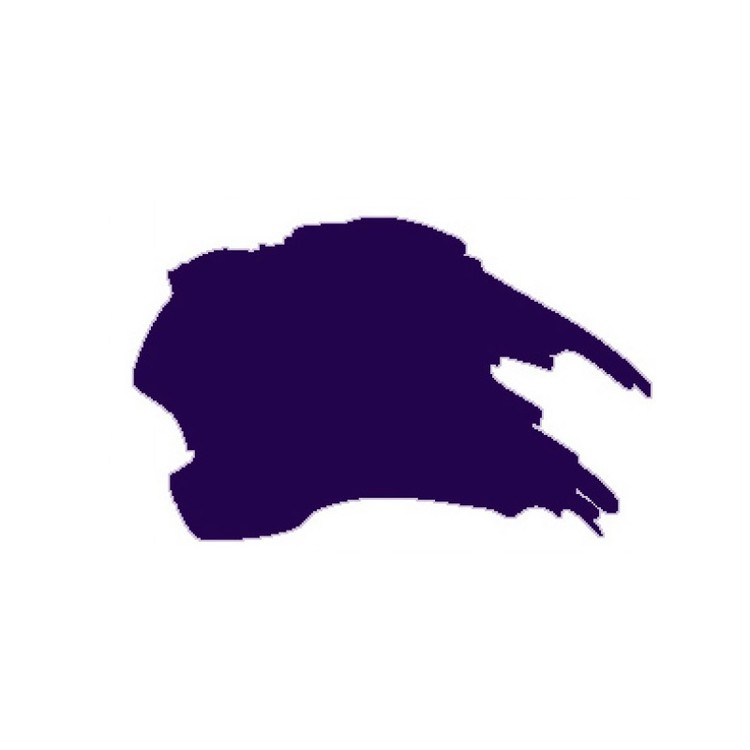 Масляная краска (фиолетовая), Малевичъ — картинка 2