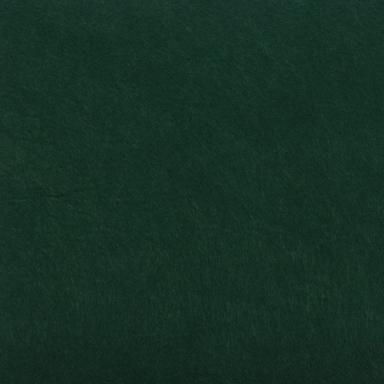 Фетр декоративный, жесткий, 2,2 мм, 20х30 см ± 2 см, 5 шт., цвет: №049 темно-зеленый, Blitz