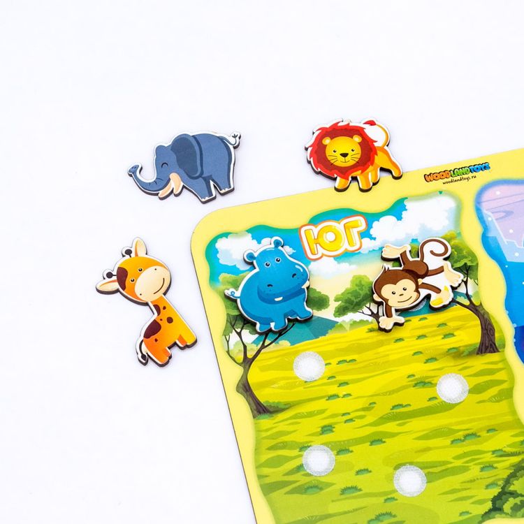 Сортер «Какая разница? Юг-Север» — картинка 3