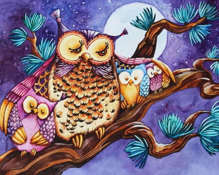 Алмазная вышивка «Красочные совы» — картинка 2