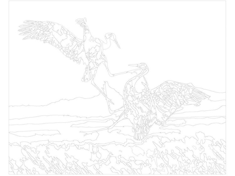 Картина по номерам «Сражающиеся журавли» — картинка 3