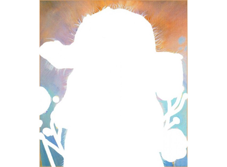 Алмазная вышивка «Милый верблюжонок» — картинка 2