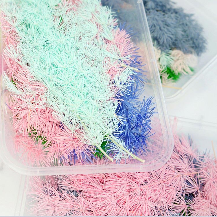 Сухоцветы Аспарагус, 1 упаковка — картинка 3